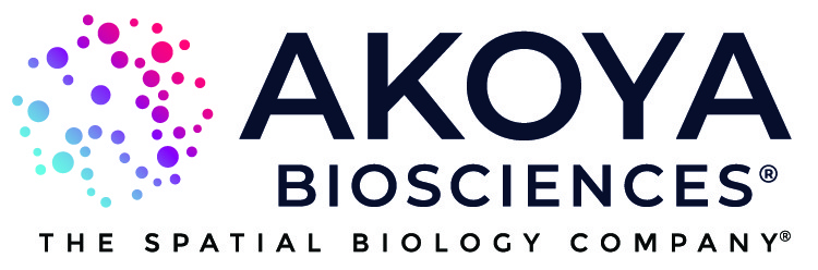 Akoya Logo Standard Color